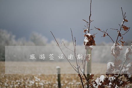 旅游签证逾期了 旅游签证逾期了