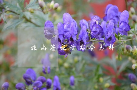 旅游签证逾期会怎样 旅游签证逾期会怎样