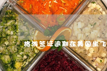 旅游签证逾期在美国坐飞机