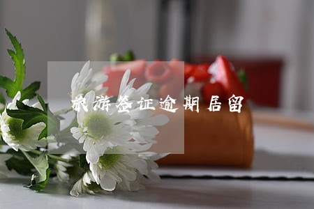旅游签证逾期居留