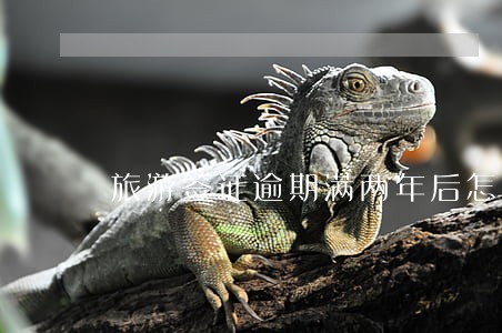 旅游签证逾期满两年后怎么回国