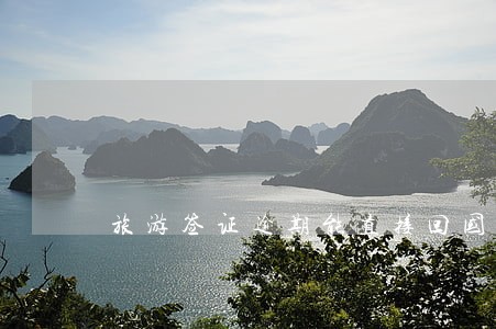 旅游签证逾期能直接回国吗