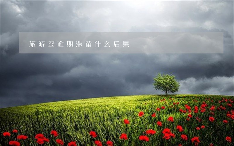 旅游签逾期滞留什么后果 旅游签逾期滞留什么后果
