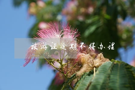 旅游证逾期不得办理 旅游证逾期不得办理