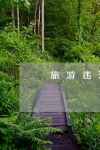 旅游违法事件