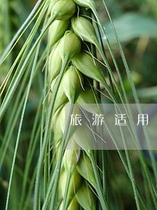 旅游适用法规 旅游适用法规
