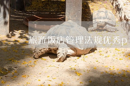 旅游饭店管理法规优秀ppt 旅游饭店管理法规优秀ppt