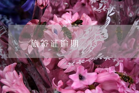 旅签证逾期