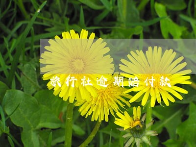旅行社逾期赔付款 旅行社逾期赔付款