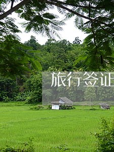 旅行签证航班延误逾期 旅行签证航班延误逾期