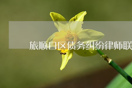 旅顺口区债务纠纷律师联系方式 旅顺口区债务纠纷律师联系方式
