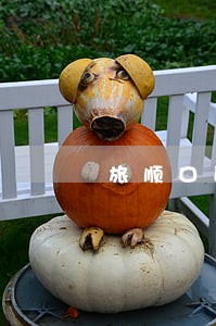 旅顺口区债权债务律师推荐 旅顺口区债权债务律师推荐