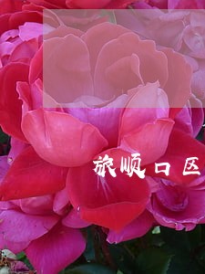 旅顺口区欠钱不还案律师哪里找 旅顺口区欠钱不还案律师哪里找