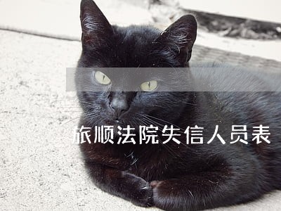 旅顺法院失信人员表 旅顺法院失信人员表