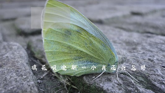 旗花呗逾期一个月还会怎样 旗花呗逾期一个月还会怎样