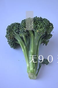 无90天以上逾期可以房贷 无90天以上逾期可以房贷