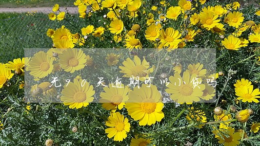 无90天逾期可以小贷吗 无90天逾期可以小贷吗