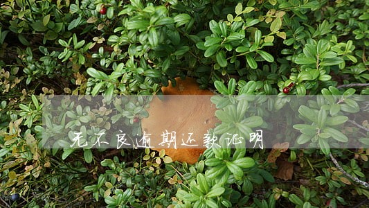 无不良逾期还款证明