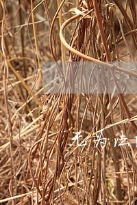 无为法院邮编 无为法院邮编