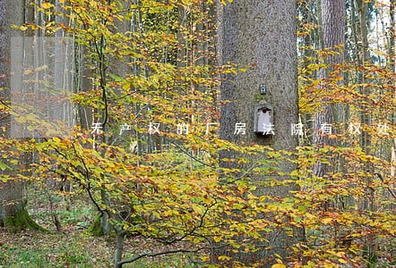 无产权的厂房法院有权处置吗 无产权的厂房法院有权处置吗