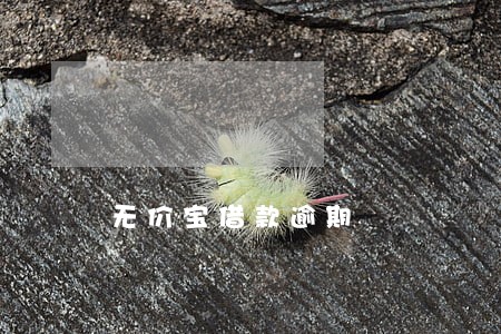 无价宝借款逾期 无价宝借款逾期