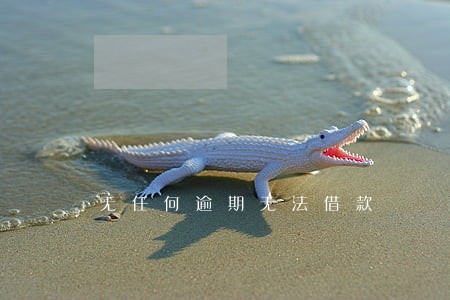 无任何逾期无法借款 无任何逾期无法借款