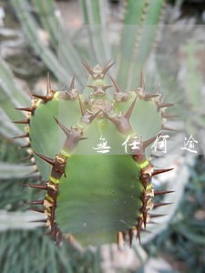 无任何逾期有网贷影响房贷吗 无任何逾期有网贷影响房贷吗