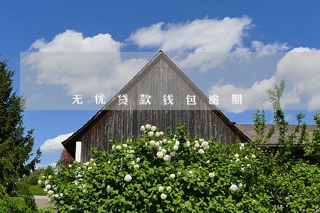无优贷款钱包逾期 无优贷款钱包逾期