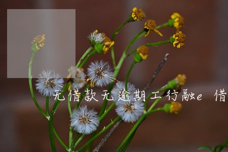 无借款无逾期工行融e借 无借款无逾期工行融e借