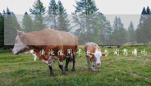 无债论信用卡逾期咨询靠谱吗 无债论信用卡逾期咨询靠谱吗