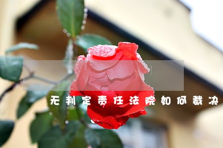 无判定责任法院如何裁决 无判定责任法院如何裁决