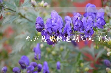 无利息贷款逾期几天了怎么办