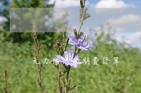无力偿还逾期费还算