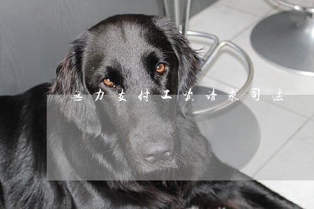 无力支付工资请求司法 无力支付工资请求司法