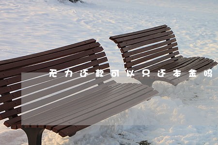 无力还款可以只还本金吗 无力还款可以只还本金吗