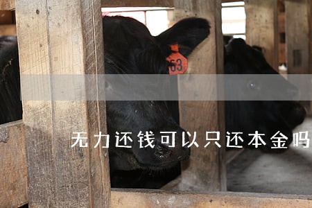 无力还钱可以只还本金吗 无力还钱可以只还本金吗