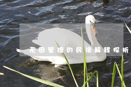 无因管理的民法解释探析 无因管理的民法解释探析