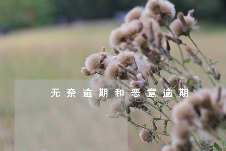 无奈逾期和恶意逾期 无奈逾期和恶意逾期