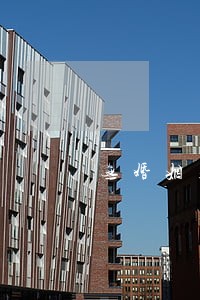 无婚姻关糸同居违法吗 无婚姻关糸同居违法吗