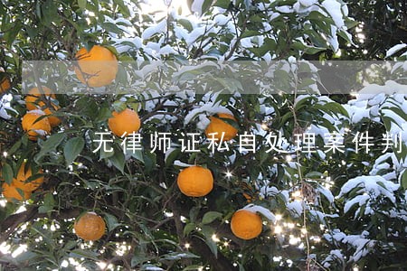 无律师证私自处理案件判刑几年 无律师证私自处理案件判刑几年