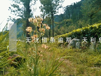 无忧借条逾期一天利息多少 无忧借条逾期一天利息多少