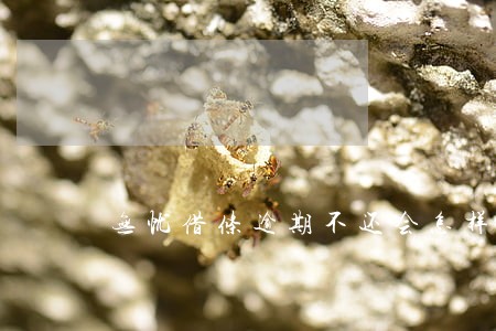 无忧借条逾期不还会怎样
