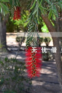 无忧借条逾期五个月 无忧借条逾期五个月
