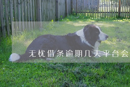 无忧借条逾期几天平台会显示 无忧借条逾期几天平台会显示