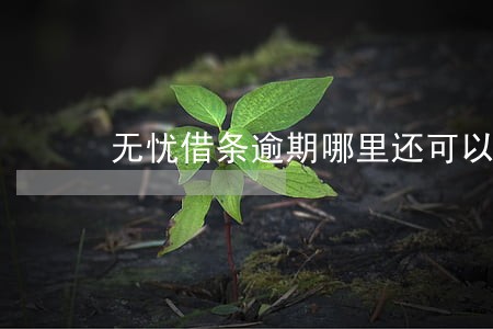 无忧借条逾期哪里还可以借款 无忧借条逾期哪里还可以借款