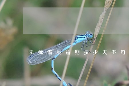 无忧借条逾期多少天不可以大条 无忧借条逾期多少天不可以大条