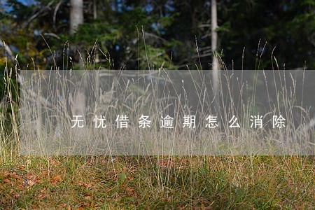 无忧借条逾期怎么消除 无忧借条逾期怎么消除