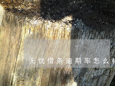 无忧借条逾期率怎么样 无忧借条逾期率怎么样