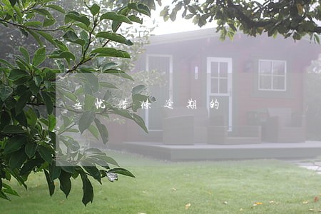 无忧借条逾期的 无忧借条逾期的