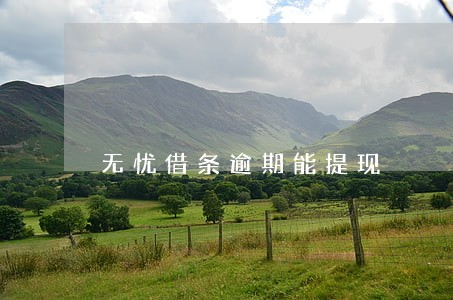 无忧借条逾期能提现 无忧借条逾期能提现